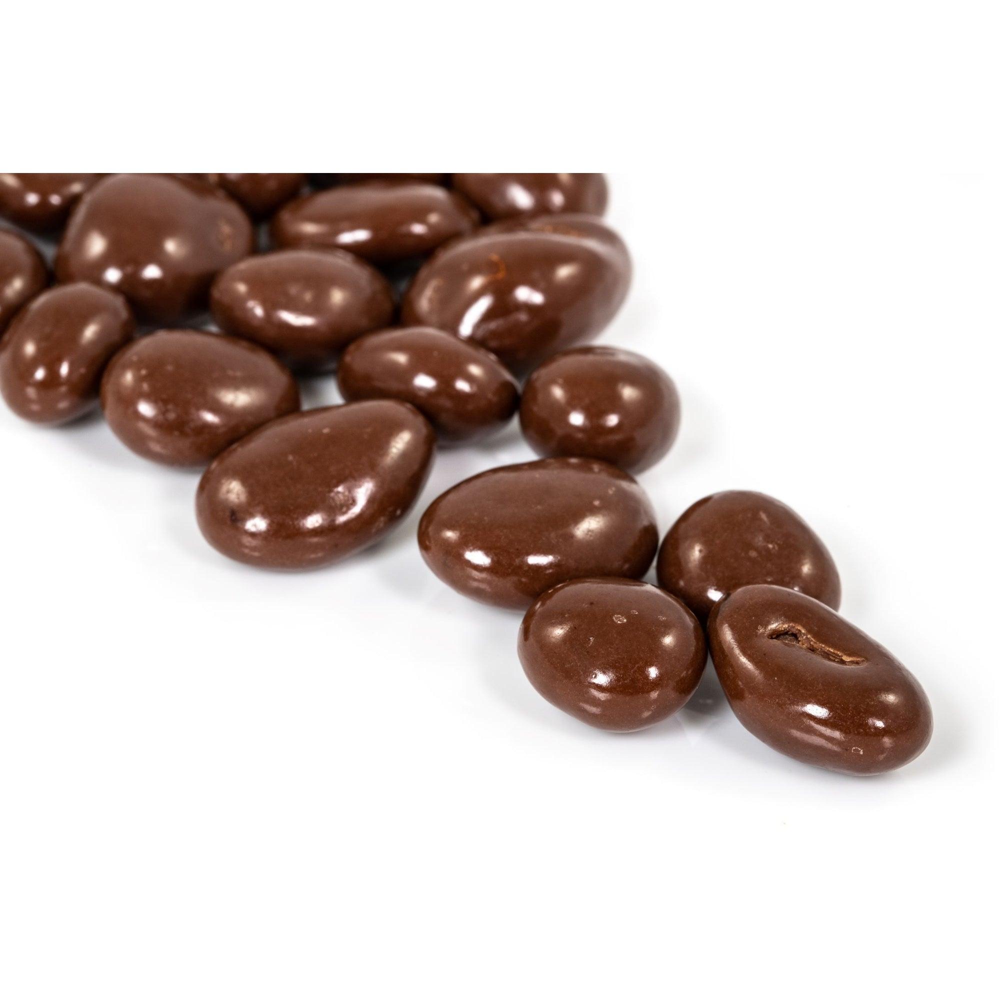 Raisins Secs au Chocolat 100g