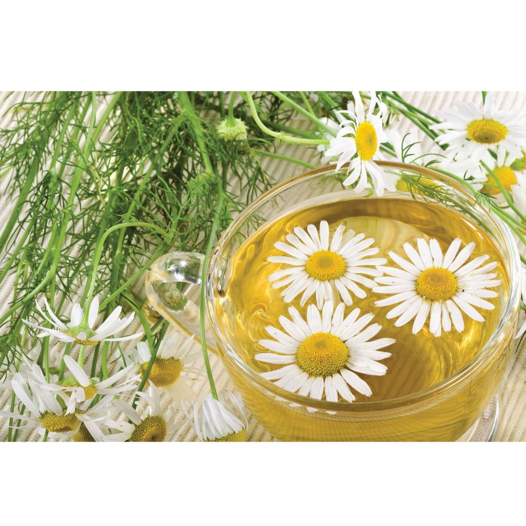 Tisane Camomille
