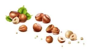 Noisette 100G