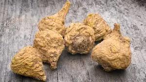 Maca mia