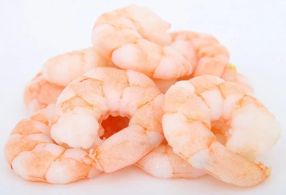 Crevettes Décortisuées