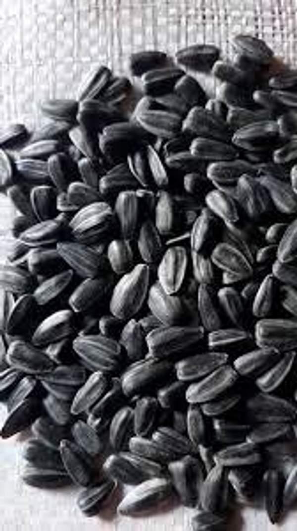 Pépites De Tournesol Salées
