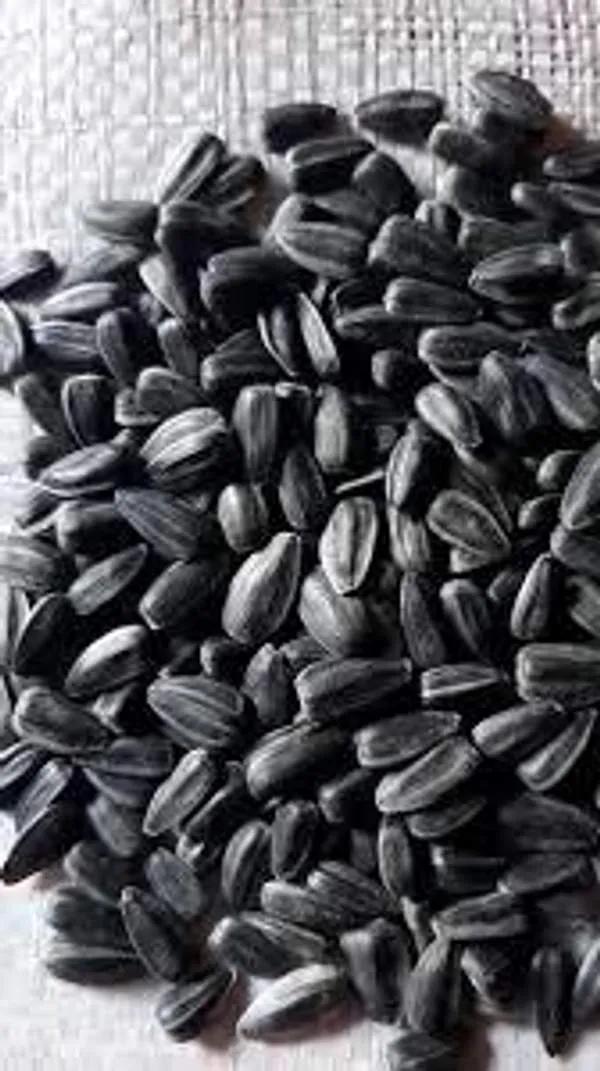 Pépites De Tournesol Salées