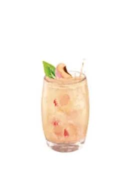 Jus De Pêche