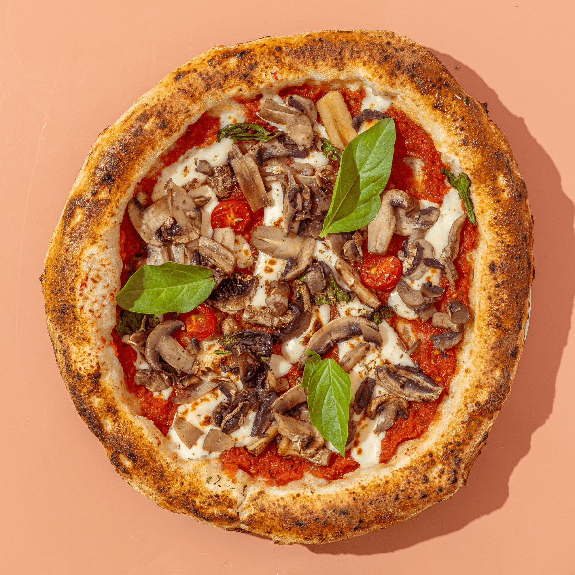 Pizza Funghi