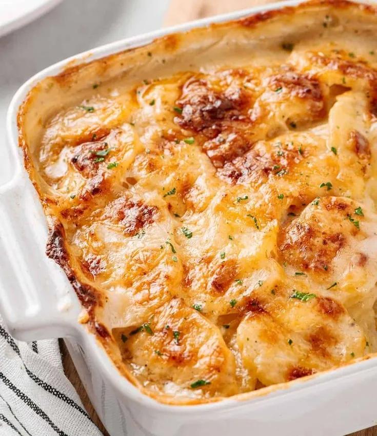 Gratin Poulet