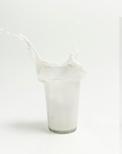 Fermented Milk