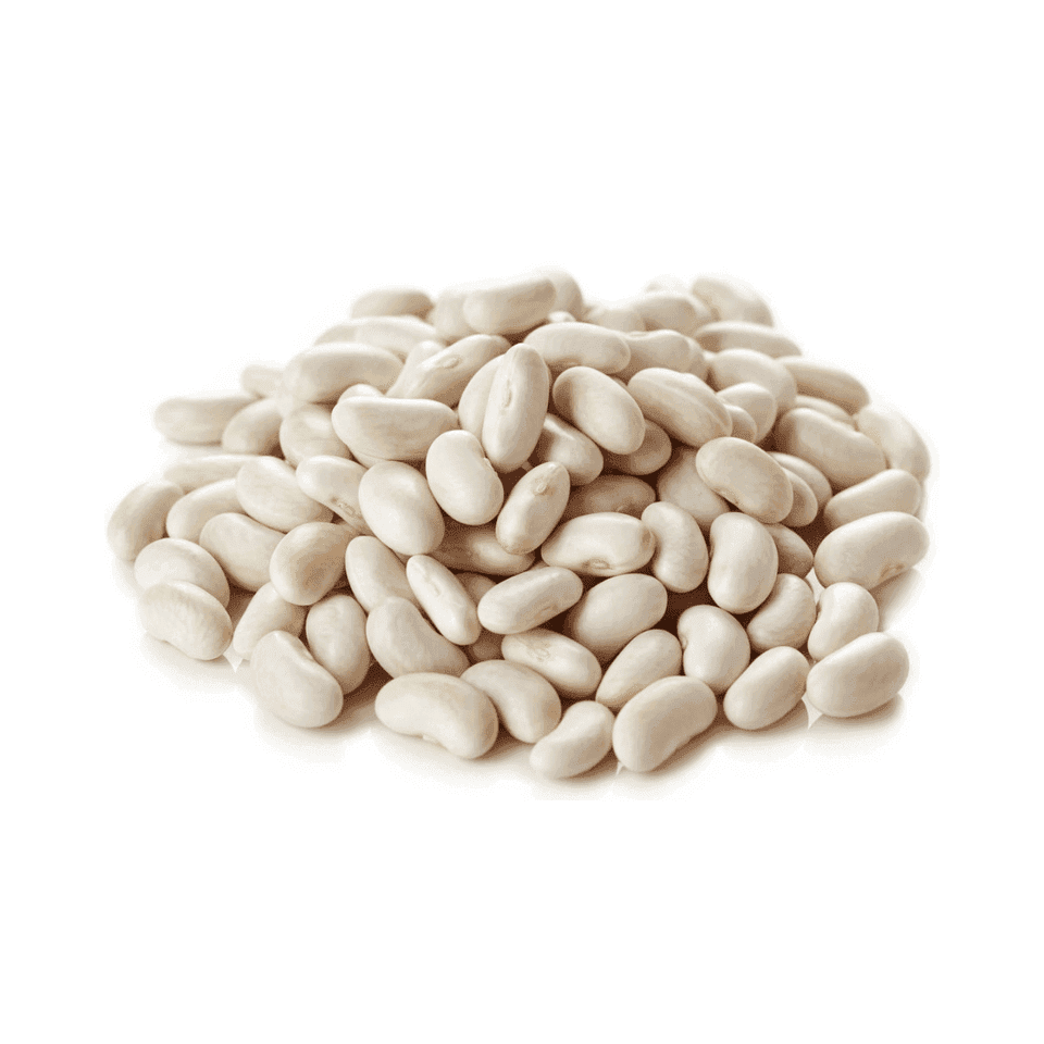 Mg J'aime Haricot Blanc 400g