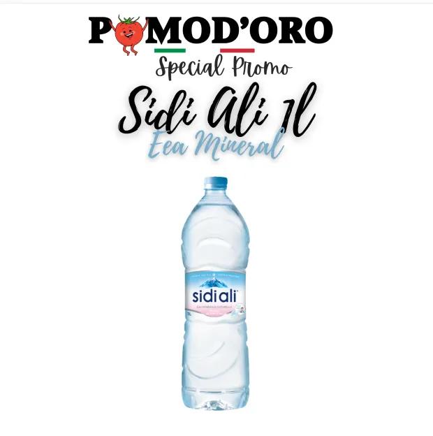 Sidi Ali 1 L