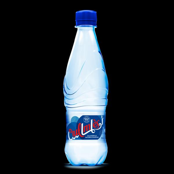 Oulmes - ( 50cl ) Bouteille