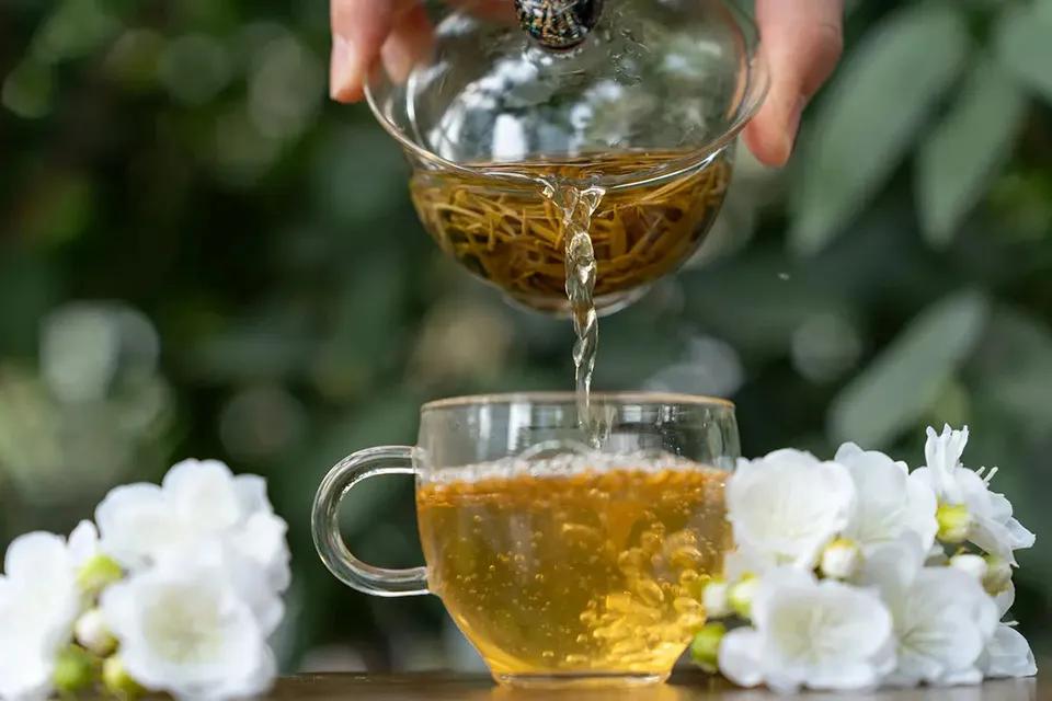 Green Tea Jasmine