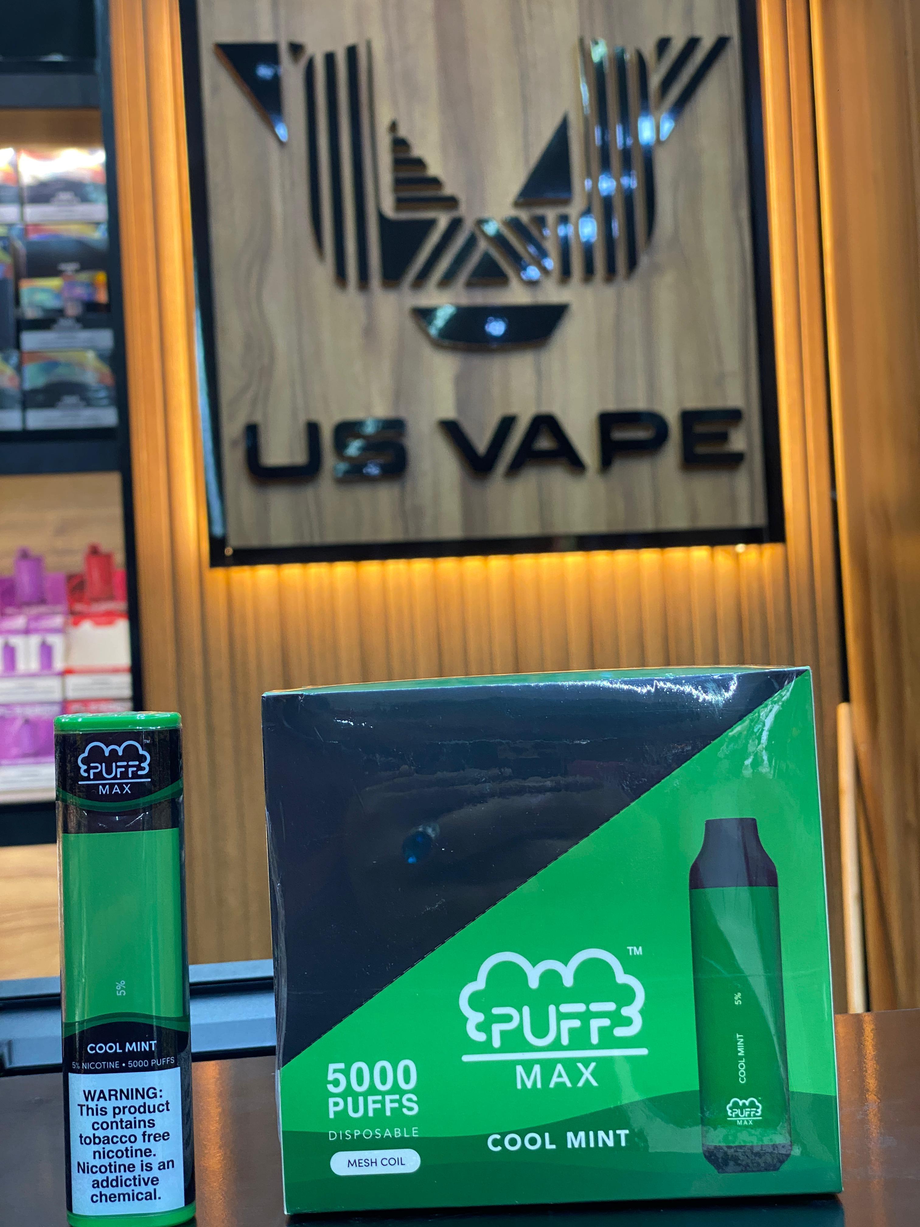 Puff Max 5000 Puffs- Cool Mint