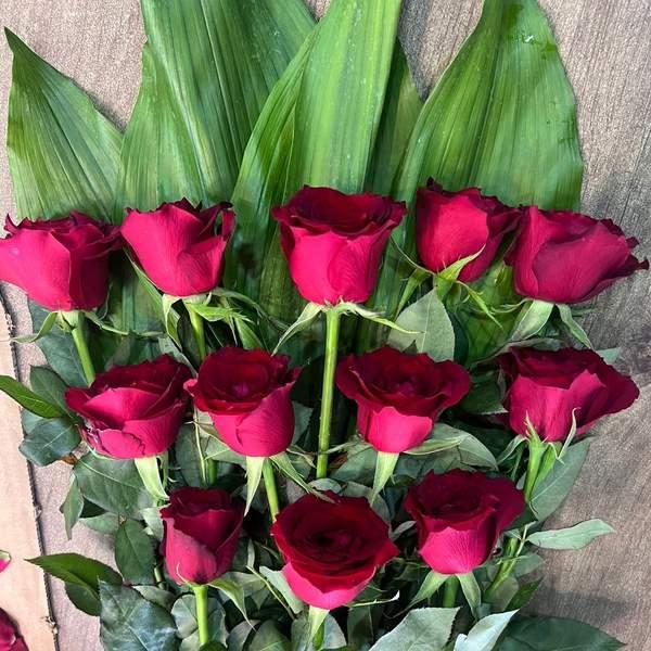 Douzaine roses rouge