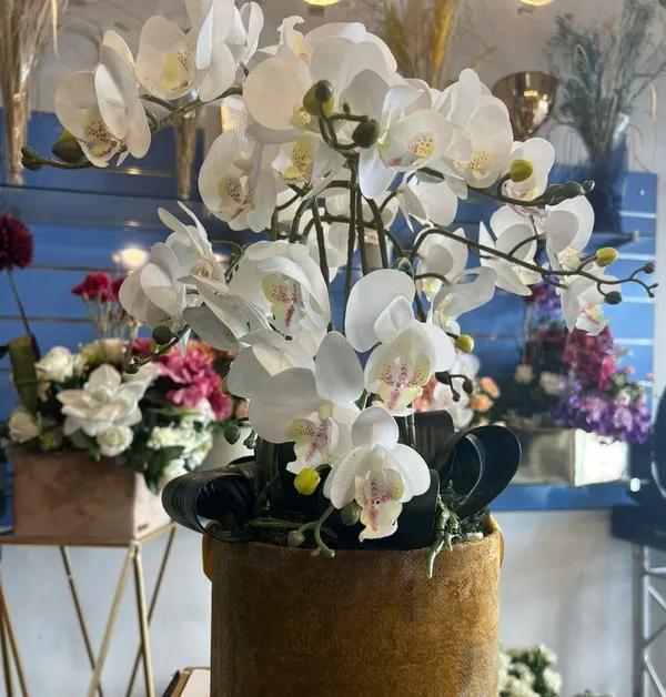 Box Orchidée