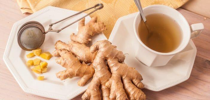 Infusion Gingembre