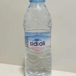 Sidi Ali 50cl
