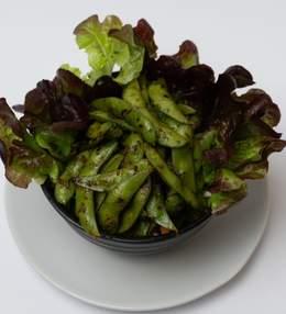 Salade Edamame