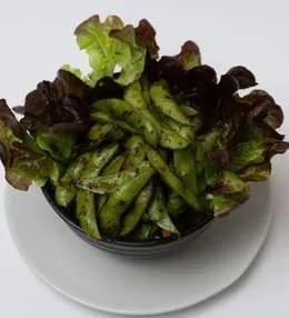 Salade Edamame
