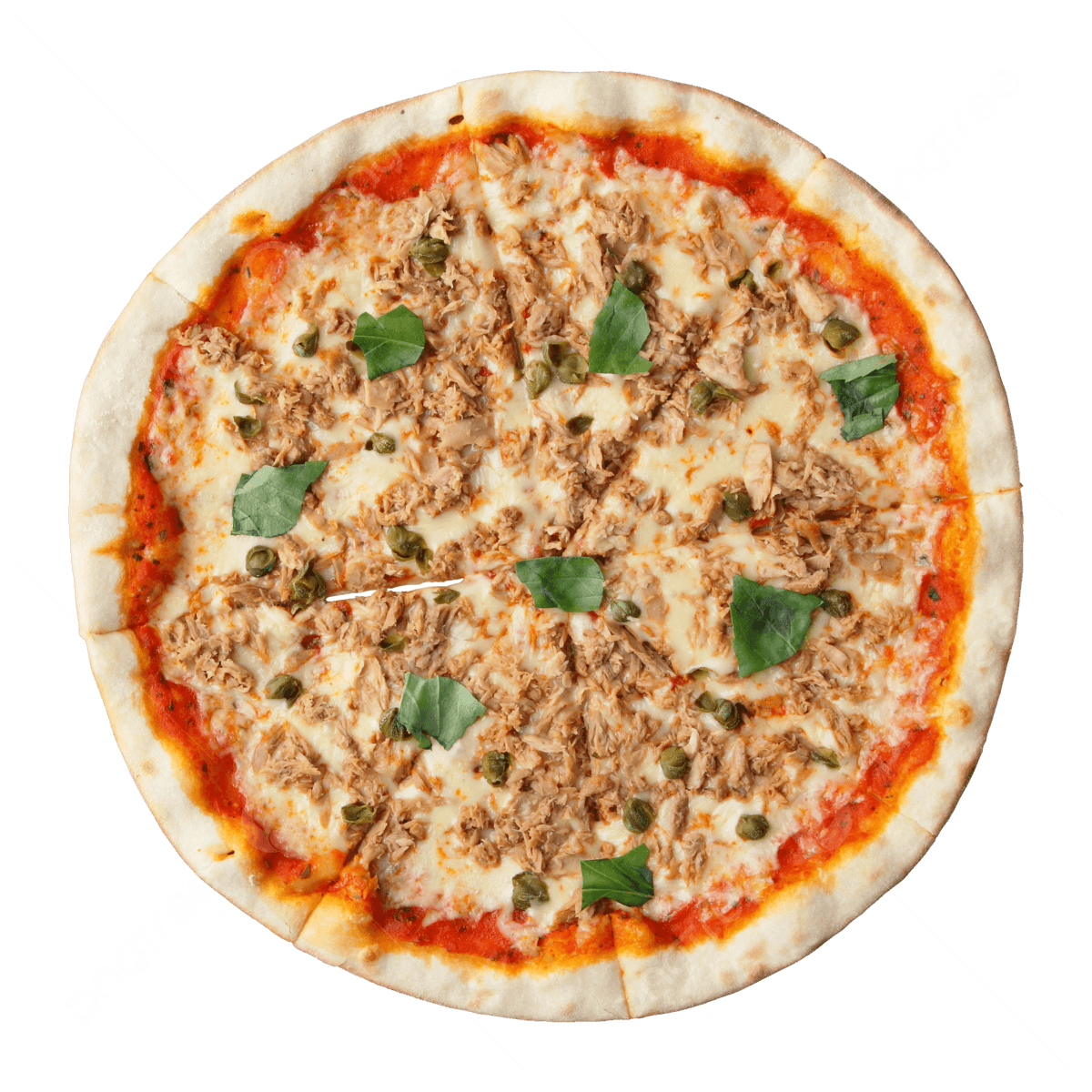 Pizza Thonarella