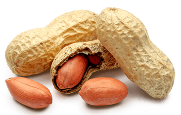 Cacahuéte