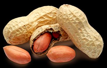 Cacahuéte