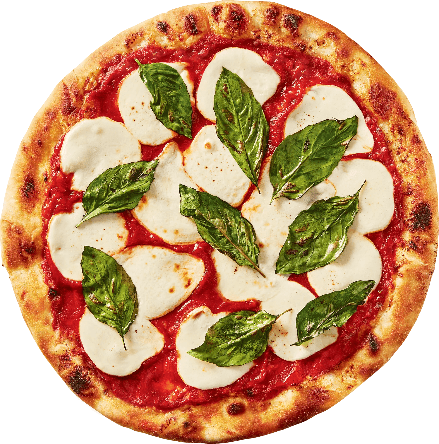 Pizza Margherita