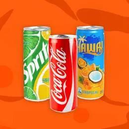 Coca-Cola 25cl Canette
