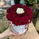 BoX amour Central Blanc