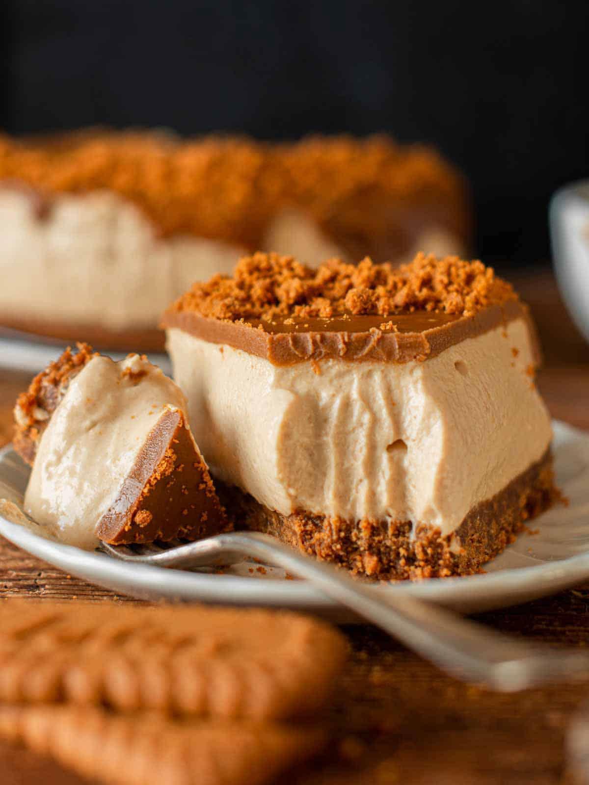 Cheesecake Lotus