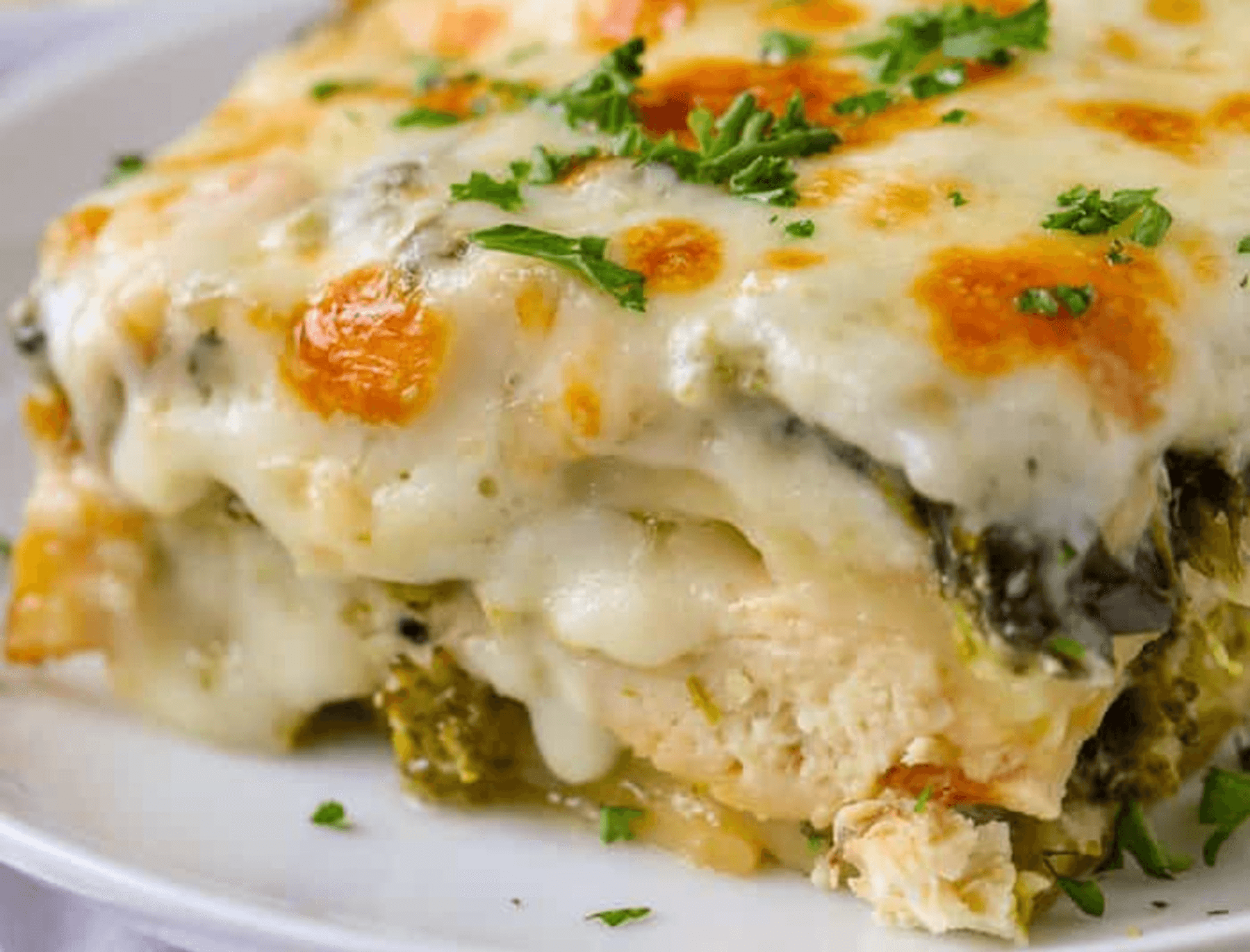 Lasagne Poulet
