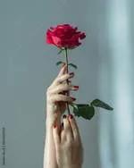 The one