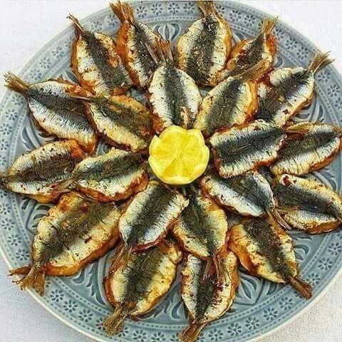 Sardine (Dersa)
