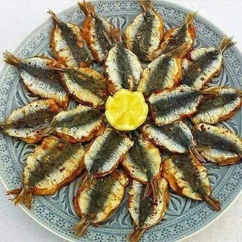Sardine (Dersa)