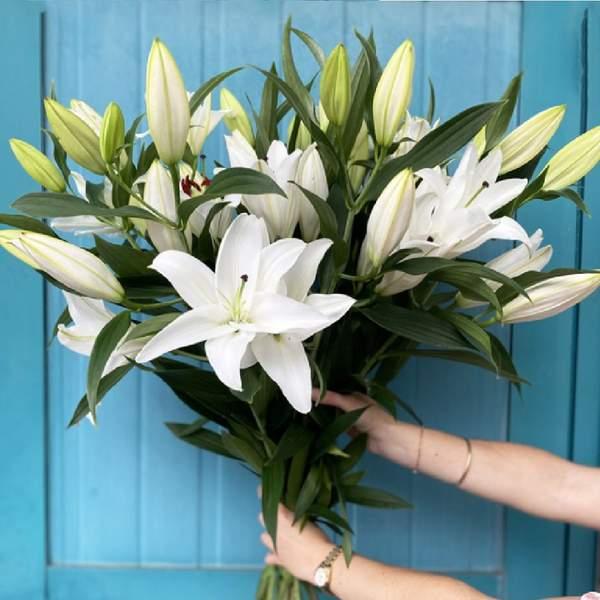 Bouquet de lys blanche parfumé - 5 Branches