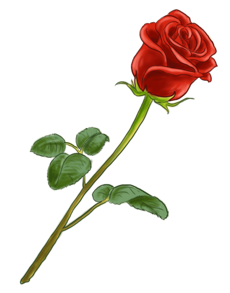 Une Rose Individuelle 70cm