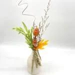 Lollipop Small
