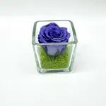 Mini Lavender