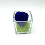 Mini Royal Blue