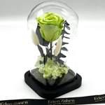 Cloche Eternal Rose Mint