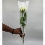 Only you white