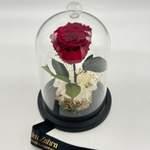 Cloche Eternal Rose Rosé