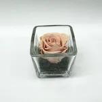 Mini BaBy Pink