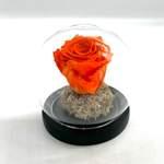 Cloche Eternal Orange