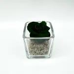 Mini Emerald