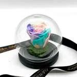Cloche Eternal SunRise