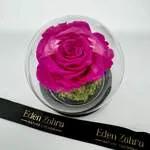 Cloche Eternal Fuschiaa