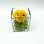 Mini Yellow