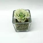 Mini Green
