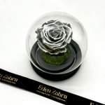 Eternal Silver Rose