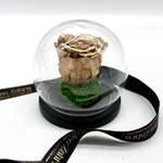 Cloche Rose Gold